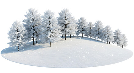 Snowy wonderland: Serene winter scene with snow-covered trees on a gently sloping hill.
