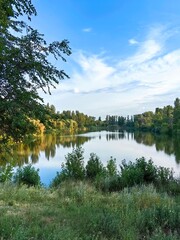 Fototapeta premium lake and forest