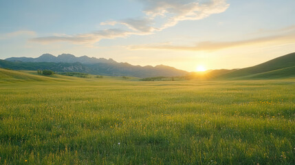 Fototapeta premium Golden sunset illuminating vast green fields with distant mountains in background