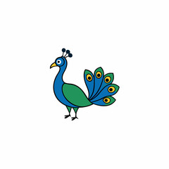 peacock vector illustration