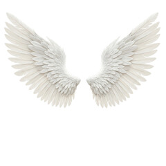 White angel wings isolated on white background