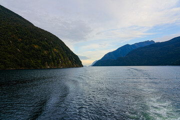 Early summer morning in Doubtful Sound, Fiordland National Park.