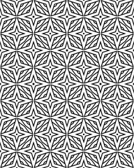 Fototapeta premium Intricate Black and White Geometric Pattern