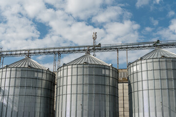 Grain storage silos rise prominently under a bright blue sky dotted with white clouds, showcasing a typical agricultural landscape © SMK