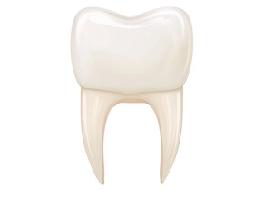 3d design of a white, isolated tooth