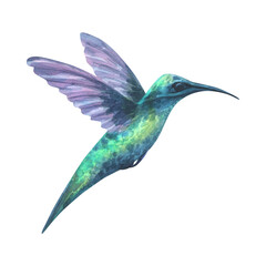 A watercolor illustration of a hummingbird in turquoise and blue shades. The delicate details and vibrant colors make it perfect for nature, wildlife, and artistic designs.