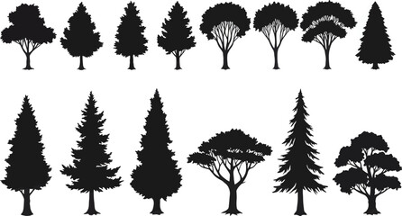 Fototapeta premium Nature Tree Silhouette Background Design