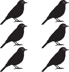 American Robin birds silhouettes collection vector illustration. 