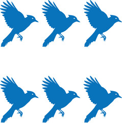 Vector illustration set of Blue Jay birds on white background. 