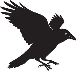 Vector silhouette single crow. Crow vector illustration isolated. 