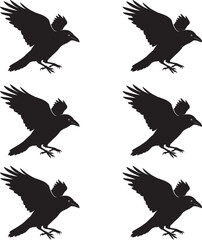 Premium vector illustration silhouette crow design on white background. 
