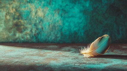 Single bird feather on vintage table with shadow and minimalist color backdrop in artistic poetic scene