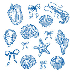 Hand drawn ocean elements isolated on white. Seashell and marine life vector set.