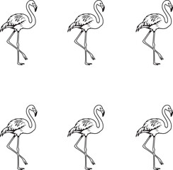 Vector set of flamingo line art silhouettes illustration on white background. 