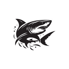 Fototapeta premium Shark vector (4).eps