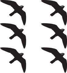 Silhouette Nighthawk flying birds on white background. Premium vector silhouette birds. 