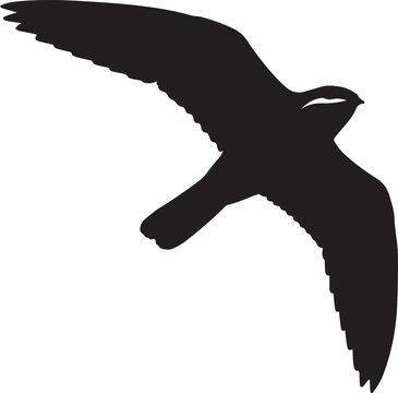 Premium vector silhouette of a flying Nighthawk bird geometric abstract. 