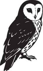 Premium vector. Silhouette owl on a white background. 