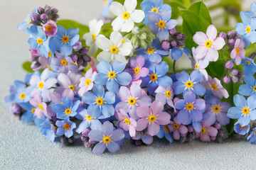 Bouquet of blue, pink and white forget-me-not flowers on decorative background closeup. Beautiful floral card