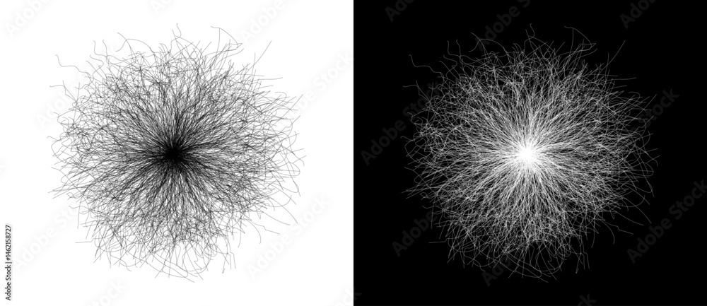 Poster Abstract background with lines in chaos like fireworks. A black figure on a white background and the same white figure on the black side.
