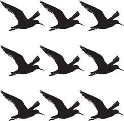 Silhouette sandpiper bird in white background. vector silhouettes of birds