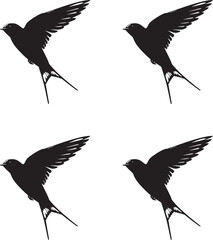 Premium vector. set of silhouettes of Swallow birds on white background. 