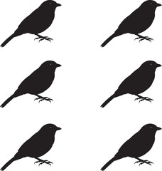 Premium vector set of tanager birds silhouettes illustration. 
