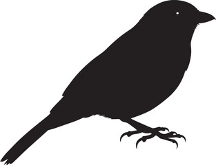 Silhouette Tanager bird on white background vector illustration. 