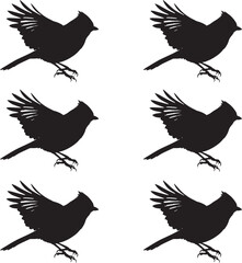  Vector silhouettes of Titmouse birds on white background. 