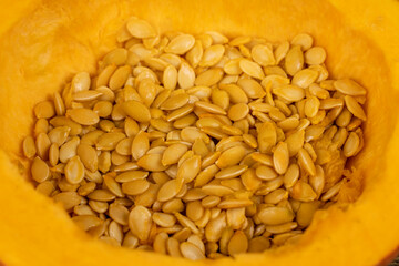 a group of seeds suitable for food during the preparation for drying