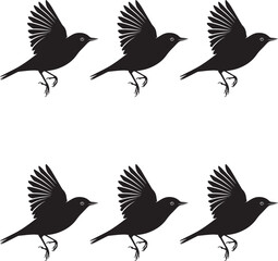 Premium vector. Set of silhouettes of Warbler birds illustration. 
