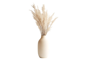 Cream Vase with Pampas Grass Bouquet on Transparent Background