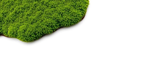 Fototapeta premium Lush green moss and grass patch isolated on pure white background, lawn, plant