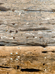 Naklejka premium Wooden texture designed for your background