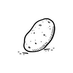 Hand-drawn Potato Illustration