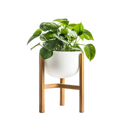 Modern Plant Stand with White Pot  Green Plant isolated on transparent background