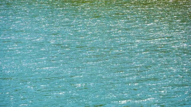 The surface of the water in a lake or river, with its bright reflections of the sun as a background.
