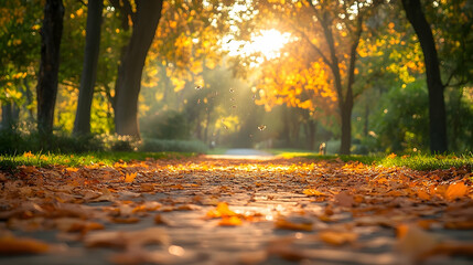 Autumnal pathway lined with fallen leaves bathed in sunlight.