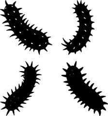 sea cucumber vector silhouette
