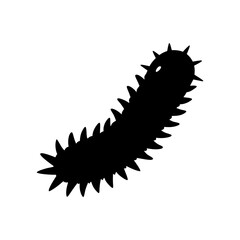 sea cucumber vector silhouette