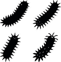 sea cucumber vector silhouette