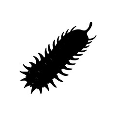 sea cucumber vector silhouette