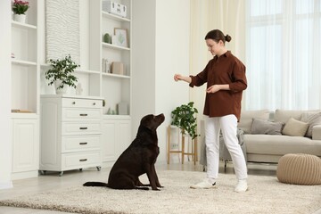 Beautiful woman training her dog at home