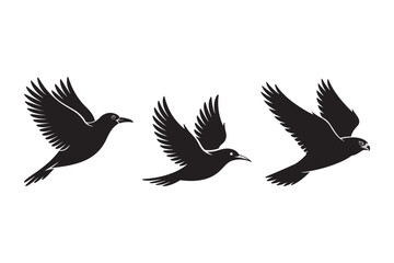 Black silhouette of a flying bird with spread wings