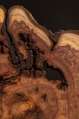 treated for decoration a section of the trunk of the damaged larch tree