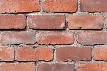 Obraz premium Edgy urban fashion backdrop featuring a textured brick wall perfect for stylish photoshoots