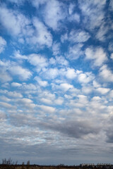 A cloud pattern of white clouds in the blue sky above the earth, featuring beautiful altocumulus clouds in a vertical frame.