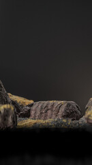 Bottle of perfume is shown on a rocky surface. The bottle is black and has a black cap. The bottle is placed on a rock, and the rock is surrounded by other mossy rocks. Premium photo 3d render.