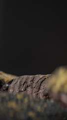 Bottle of perfume is shown on a rocky surface. The bottle is black and has a black cap. The bottle is placed on a rock, and the rock is surrounded by other mossy rocks. Premium photo 3d render.