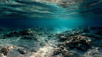 Obraz premium underwater photo blue background panorama ocean surface and bottom of the sea